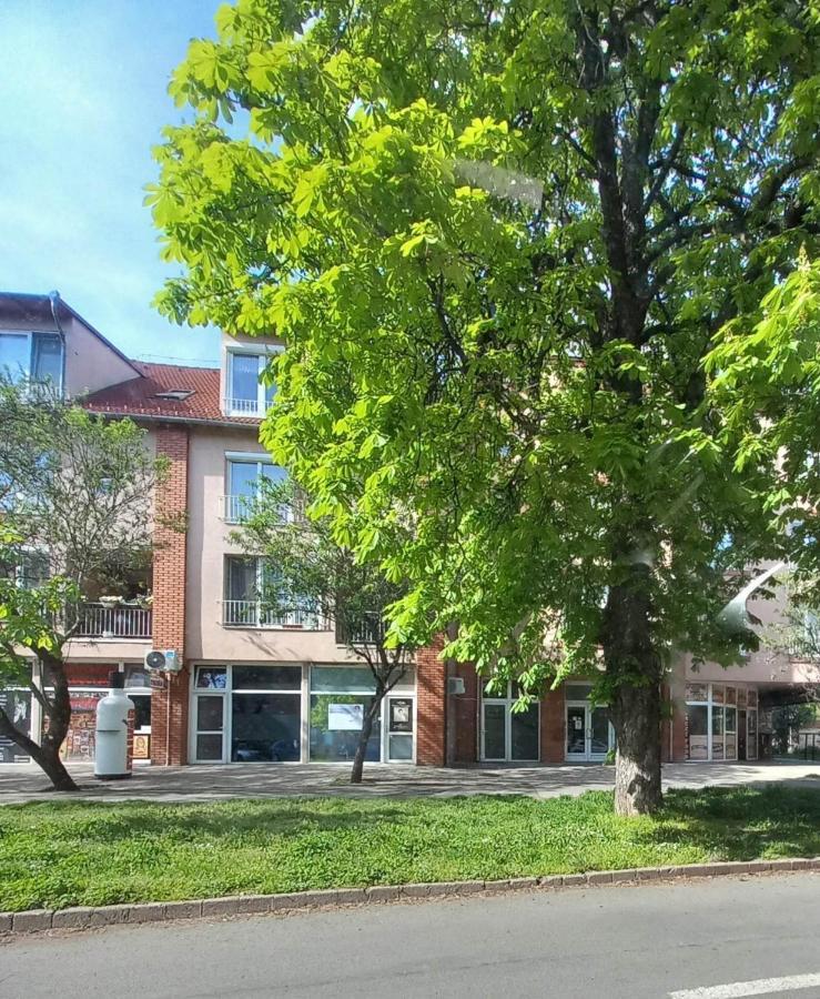 Rozsa Apartman Keszthely Zewnętrze zdjęcie
